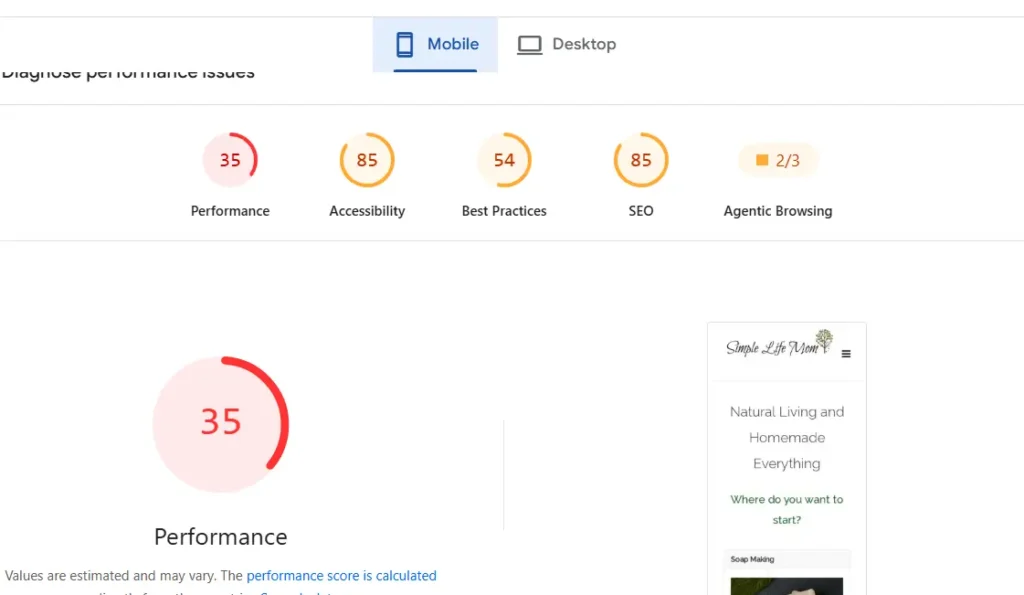 Overall technical SEO score summary from handmade soap business website audit